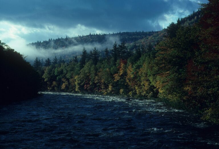 Zdjęcie do artykułu: Zasada trójpodziału w krajobrazie – klasyk, który wciąż działa